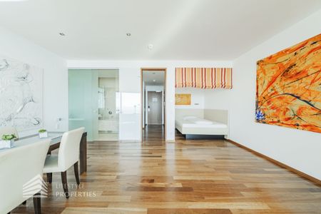 Einzigartiger Blick über Wien! Garconniere mit Terrasse am Kahlenberg - Photo 3