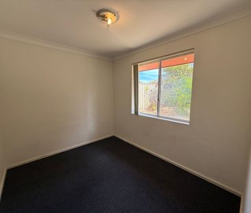 Spacious Backyard - Photo 4