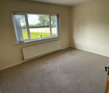 141 Drum Road, Cookstown, BT80 9DW - Photo 3