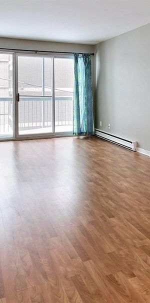 4 1/2 GRAND, lumineux, rénové (LORETTEVILLE) - Photo 1