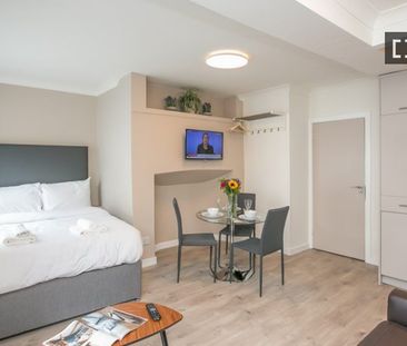 Serviced studio apartment for rent in St Stephen's Green, D2 - Photo 5