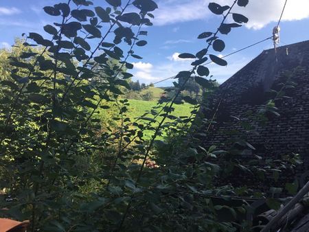 <h1 class="md:text-xl md:leading-6 mt-4 md:mt-10 lg:mb-6 mb-3 text-primary-500 font-semibold text-base leading-5"> Wohnung in Bollschweil </h1> - Photo 3