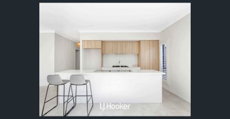 Beautiful 4 Bedroom Home! - Photo 4