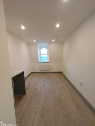 Studio Flat, Putney Hill, SW15 - Photo 1