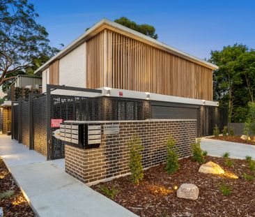 2/16 Naree Road, Frenchs Forest NSW 2086 - Studio For Rent | Domain - Photo 4