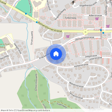 Erlackerstrasse 29, 9300 Wittenbach, Schweiz