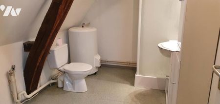 LOUE appartement F2 proche cathédrale - Photo 4