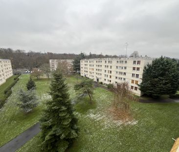 Location Appartement 3 pièces 49m² AVON 77210 - Photo 6