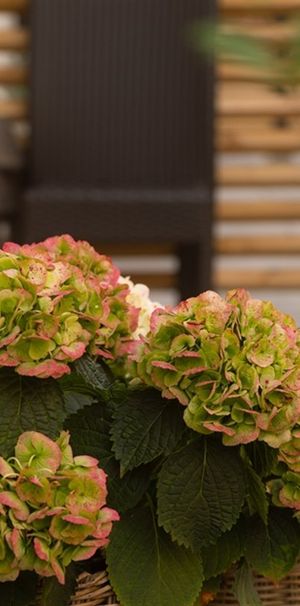 Transportgatan 2 B - Photo 1