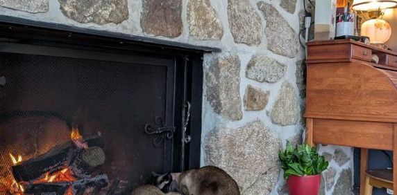 Maison à louer – 2+1 chambres, 1,5 salle de bain – Piedmont - Photo 2