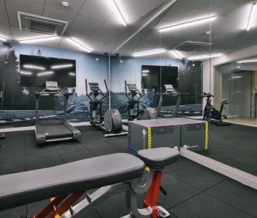 Classic Studio - Photo 5