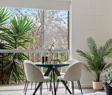 CBD Living in a Quiet, Leafy Pocket of Adelaide - Photo 3