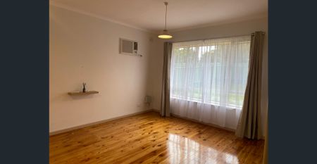 Light-filled 3-Bed Family Home with Huge Rumpus on Corner Block - Photo 2