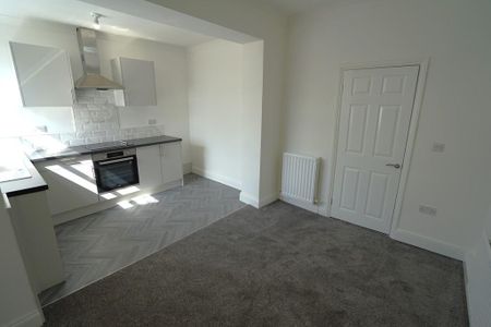 Britannia Terrace Fencehouses - Photo 4