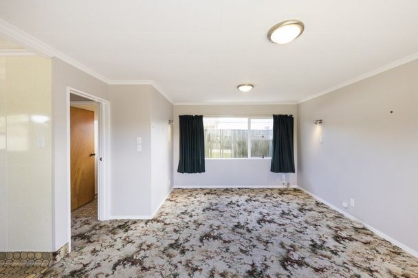 16A Ellesmere Crescent, Highbury, Palmerston North - Photo 1