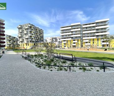 Charmante 2-Zimmer-Wohnung inkl. Einbauküche und großzügiger Freifl... - Photo 2