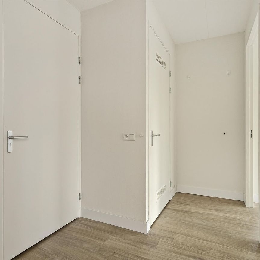 Appartement te huur: 1e Lulofsdwarsstraat 8-A 2521 AZ Den Haag - Foto 1