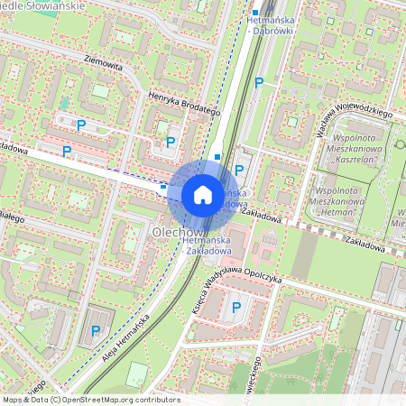 Łódź, Widzew, Olechów, ok. Zakładowej, Cynarskiego