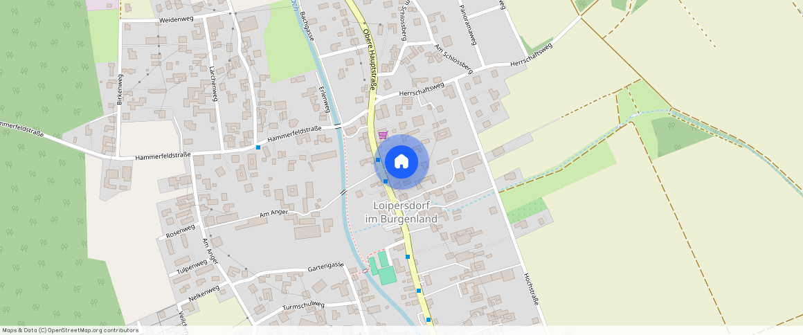 Obere Hauptstraße 12/1, 7410, Loipersdorf-Kitzladen