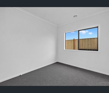 Spacious Family Living in Junction Village - Photo 3