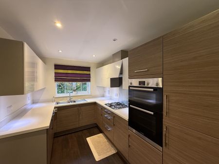 Tiger Flower Way, Bury St. Edmunds, Red Lodge - Photo 4