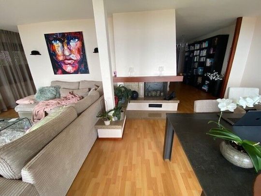 A louer superbe 3,5 pièces avec vue imprenable - Photo 1