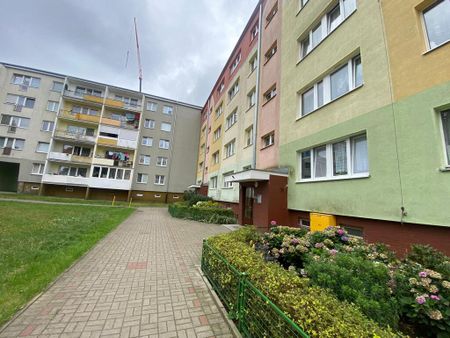 mieszkanie na wynajem - Szczecin, os. Zawadzkiego-Klonowica, ul. Tadeusza Zawadzkiego - Photo 3