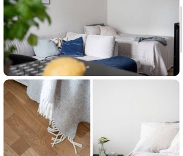 Malmö - 1rok - 12mån - 8.625kr/mån - Photo 1