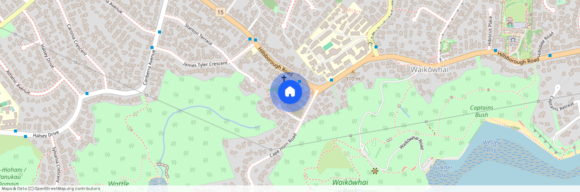 7 George Laurenson Lane, Mount Roskill, Auckland