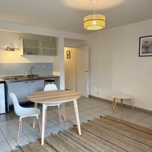 Location Appartement 1 piece Toulouse - Photo 2