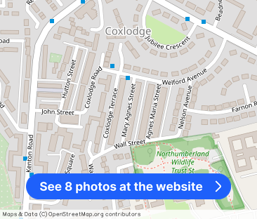 3 bedroom terraced house for rent - Photo 1