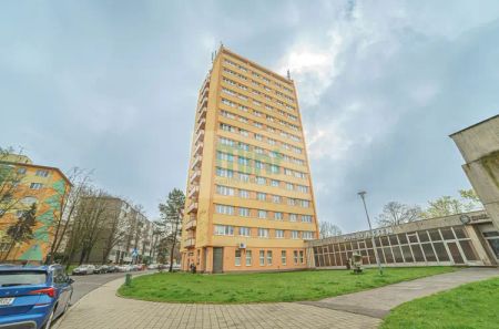 Podnájem bytu 1+1 [29 m - Fotografie 3