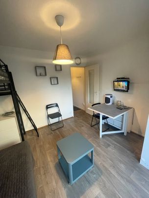 Location Appartement 1 pièce 17m² WITTENHEIM 68270 - Photo 1