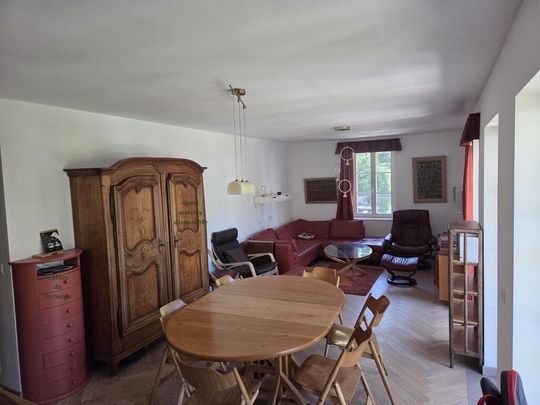 2½-ROOM APARTMENT IN ROMAINMÔTIER (VD), FURNISHED, TEMPORARY RENTAL - Foto 1