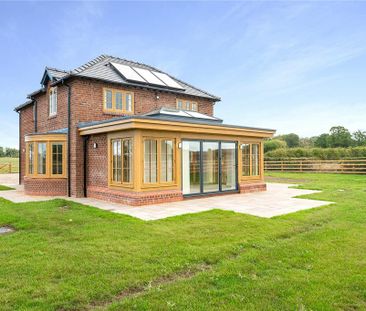 3 bedroom detached house to rent - Photo 6