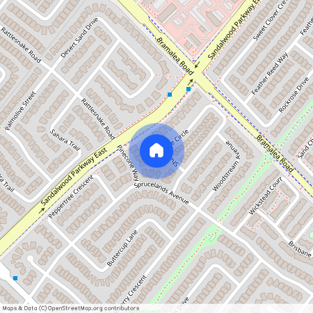 133 Shady Pine Circle, Brampton