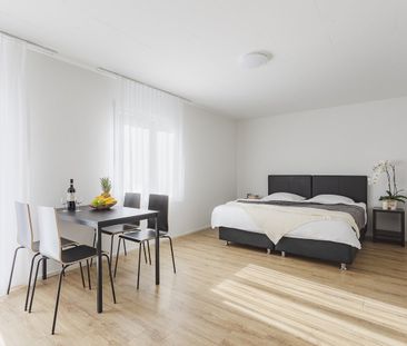 Modernes Apartment mit 2 Schlafzimmern in Wiedikon - Foto 4