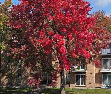Appartement à Louer , 3 1/2, complètement rénové. - Photo 4