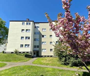 Gemütliche 3-Zimmer-Wohnung im Erdgeschoß in Fritzlar - Photo 5