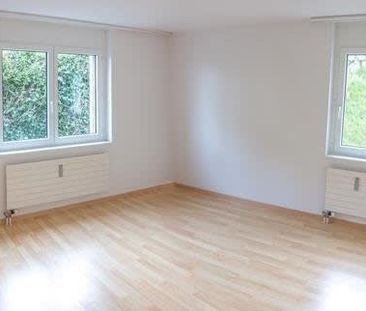 2.5 Zimmer, 48 m², EG - Photo 6
