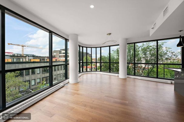 Petite-Italie/Rosemont Rental - Superb apartment for rent in Little Italy/Rosemont - Photo 1