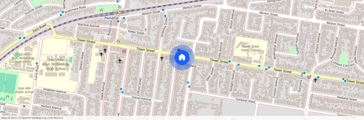 163b Tower st, NSW 2213, Panania