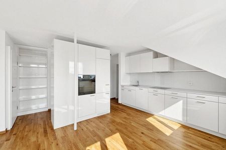 frisch sanierte Dachwohnung in ruhiger Liegenschaft - Photo 4