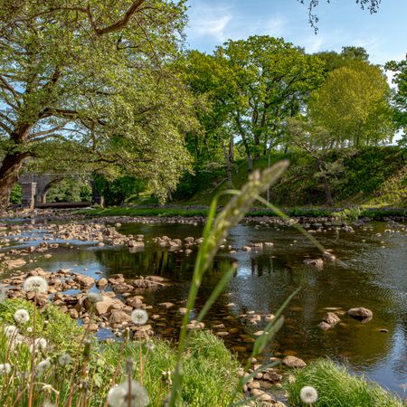 Tegelbruksvägen, Halmstad - Photo 4