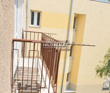 1,5 izbový byt na prenájom 35m2, Košice - Sever - Fotografia 5