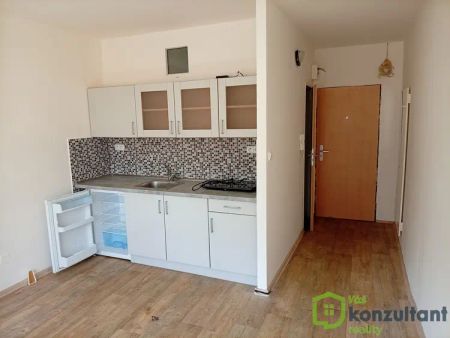 Neštěmice byt pronájem - Photo 4
