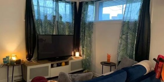 272 Boulevard D'amsterdam (Hull) Magnifique 3 1/2 Dans Un Super Secteur - Photo 3