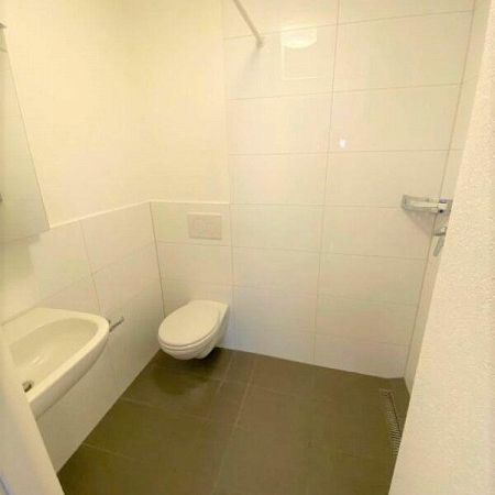 Schöne 2.5Zi-Wohnung zu vermieten - Foto 4