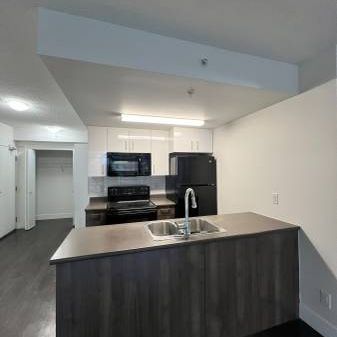 Hudson Mews Unit 310. 1 MONTH FREE RENT!!! - Photo 1