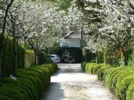 House - for rent - Photo 5